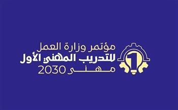 ينطلق غدًا.. تفاصيل مشروع مهني 2030