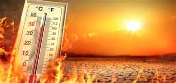 أستاذ اقتصاديات البيئة يكشف خطورة التغيرات الكبيرة في درجات الحرارة على النظام البيئي