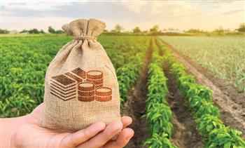 محافظ كفرالشيخ يؤكد دعم المزارعين لتحقيق أعلى معدلات إنتاج 