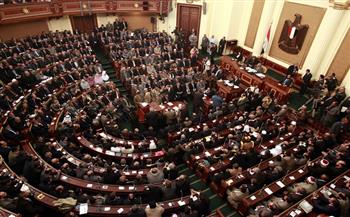 التركيبة السياسية للبرلمان المصري 2010 - 2020