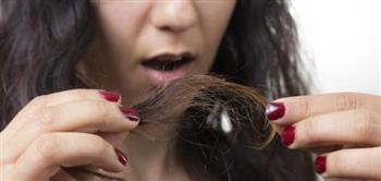 لجمالك ...4 علاجات منزلية للحصول على أطراف شعر حريرية