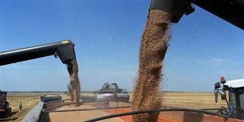 روسيا تسجل رقمًا قياسيًا في تصدير الحبوب