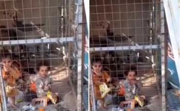 جبروت أم عراقية.. حبست طفليها في قفص حيوانات وتركتهما في حديقة (فيديو)