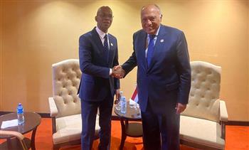 وزير الخارجية ونظيره التنزاني يبحثان تعزيز العلاقات بين البلدين