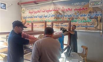 "الزراعة": "التناسليات الحيوانية" ينظم قافلة بيطرية مجانية في محافظة أسيوط