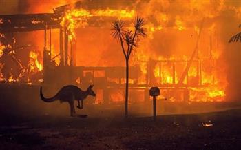 موجة حارة في أستراليا تزيد من خطر حرائق الغابات