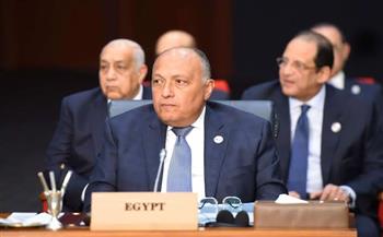 شكري يستعرض الدور الرئيسي الذي لعبته مصر في الدفع بأجندة المناخ الدولية 