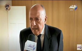 وزير الخارجية يوجه رسالة شديدة اللهجة للدول الرافضة لوقف إطلاق النار في غزة
