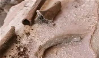 سباك يعثر على مفاجأة مرعبة أسفل أرضية حمام عمره 200 عام (فيديو)