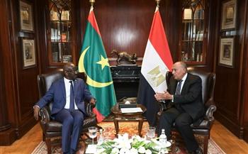 وزير الخارجية ونظيره الموريتاني يعقدان جلسة مباحثات موسعة