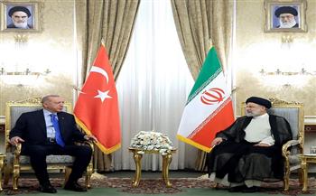 الرئيس التركي ونظيره الإيراني يتفقان على أهمية تجنب أي خطوات تهدد أمن المنطقة