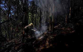 حرائق الغابات في كولومبيا أتت حتى الآن على أكثر من 17 ألف هكتار