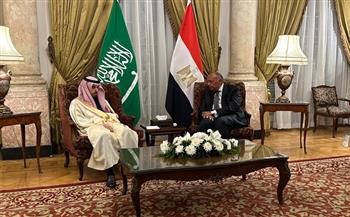 وزير الخارجية ونظيره السعودي يترأسان اجتماع لجنة المتابعة والتشاور 