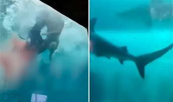 فيديو.. لحظة هجوم سمكة قرش على طفل بحوض سباحة وقضم ساقه