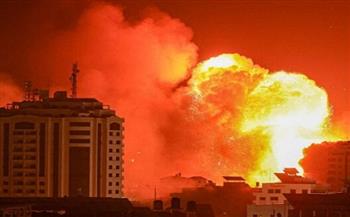 عضو ببرلمان جنوب إفريقيا: هدفنا التوصل لحل الدولتين ووقف إطلاق النار في غزة
