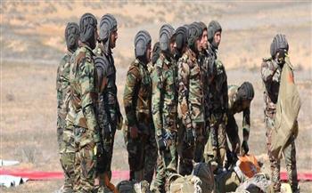 سوريا: القضاء على 8 إرهابيين من داعش في عملية أمنية بريف درعا
