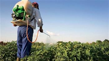 «الزراعة»: «مكافحة الآفات» تتابع المحاصيل الاستراتيجية الشتوية بالمحافظات 