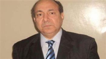 سفير مصر السابق باليمن: أية اضطرابات في الملاحة الدولية هي نتيجة للحرب الاسرائيلية