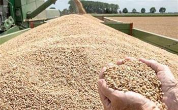 «السلع التموينية» تعلن عن ممارسة لشراء القمح المستورد