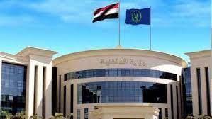 مع مناشدة وزارة الداخلية بإثبات الإقامة.. إجراءات تقنين أوضاع الأجانب في مصر وفقًا لنص القانون