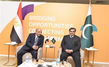 وزير قطاع الأعمال لنظيره الباكستاني: نتطلع لفتح فرص جديدة للاستثمار