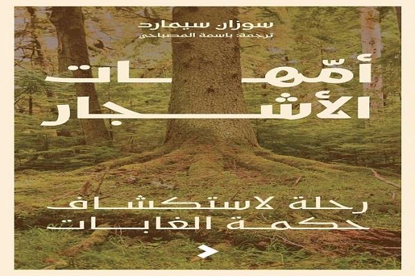 "أمهات الأشجار" يتحدى النظرة التقليدية للأشجار ككائنات منعزلة