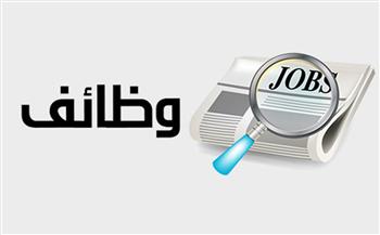 "شركات التوظيف الوهمية".. وزارة العمل تحذر المواطنين من النصب