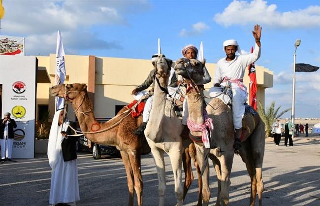 وزير الرياضة ومحافظ شمال سيناء يشهدان ختام مهرجان الهجن وتوزيع الجوائز