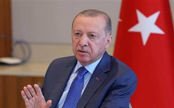 أردوغان: سوريا بحاجة للدعم من الأمم المتحدة والمؤسسات الدولية