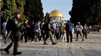 محافظة القدس: الاقتحامات المتكررة محاولة فاضحة لتغيير الوضع التاريخي في المسجد الأقصى