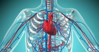 4 أسباب  وراء تمدد الشريان الأورطي الصدري