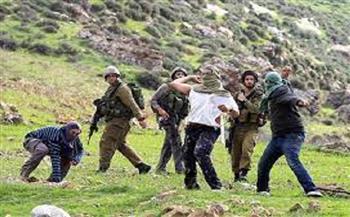مستوطنون إسرائيليون ينفذون اعتداءات في نابلس وأريحا والخليل