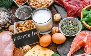 البروتين النباتي أم الحيواني؟.. خبراء يوضحون الأفضل لإنقاص الوزن 