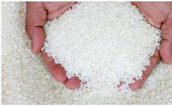 «الغرفة التجارية» تكشف أسباب انخفاض سعر الأرز