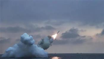 كوريا الشمالية تطلق عدة صواريخ كروز قبالة سواحلها الشرقية