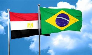ارتفاع الصادرات المصرية إلى البرازيل 444 مليون دولار خلال 2023 