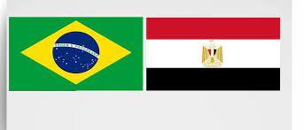حامد فارس: العلاقات المصرية البرازيلية ثابتة وراسخة