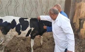 "بيطري الغربية ": تحصين 130 ألف رأس ماشية ضد الأمراض الوبائية