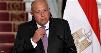 «شكري» يؤكد رفض مصر القاطع لتهجير الفلسطينيين