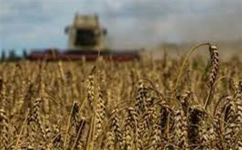 وزارة الزراعة الأوكرانية: الطقس سيدمر 2% من محصول القمح الشتوي خلال 2024