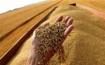  الصادرات الزراعية الروسية إلى الإمارات تسجل قفزة مضاعفة 