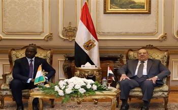  رئيس مجلس الشيوخ يؤكد متانة العلاقات بين مصر وكوت ديفوار على مختلف الأصعدة 