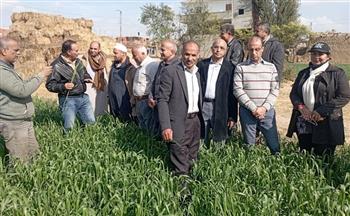 «الزراعة»: فرق إرشادية للمحاصيل والإنتاج الحيواني في 21 محافظة خلال شهر