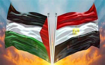 خبير علاقات دولية: القضية الفلسطينية في قلب أجندة السياسة الخارجية المصرية