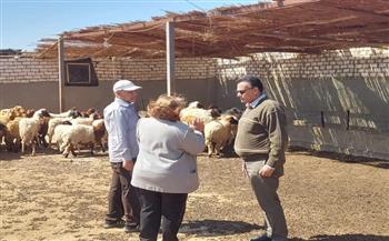 رئيس غارب: انطلاق حملة تحصين الماشية ضد مرض الجلد العقدي وجدري الأغنام بقرية وادى دارا