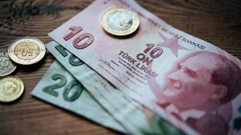 الليرة التركية تهبط لمستوى قياسي جديد عند 31 مقابل الدولار