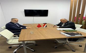 مباحثات مصرية تركية على هامش اجتماعات مجموعة العشرين بريو دي جانيرو