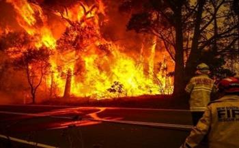 اندلاع حريق غابات جنوب أستراليا‭ ‬وأوامر بإجلاء الآلاف