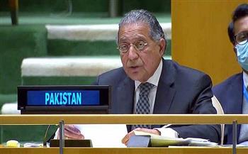 باكستان تدعو إلى تعزيز دور وقدرات بعثات حفظ السلام الدولية