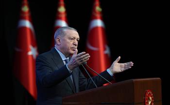 أردوغان: مجلس الأمن لم يبذل جهدًا مجديًا لوقف الوحشية الإسرائيلية